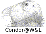 Condor Distributed Computing at W&L