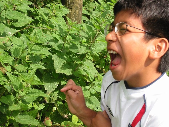 Image of Scott 
touching Nettles