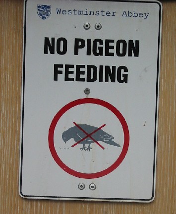 Image of Pigeon Sign