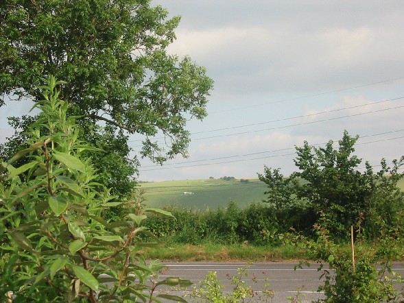 Image of White Chalk Horse