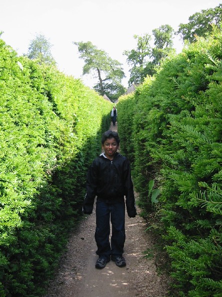 Image of Scotty in the Maze