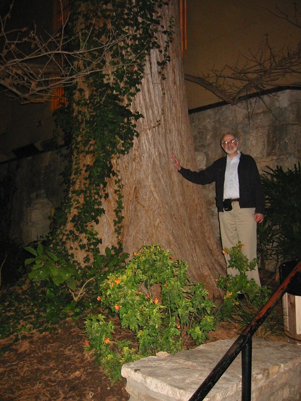 Image of Dan leaning on huge
cottonwood tree