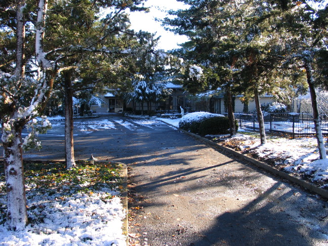 Image of Driveway to Discus Thrower Statue