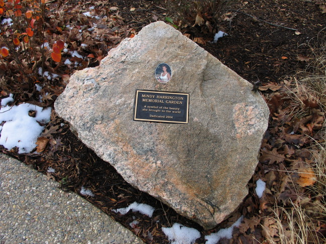 Image of Memorial Stone for Mindy Harrington