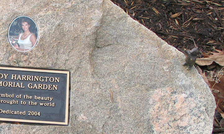 Image of Bronse mouse