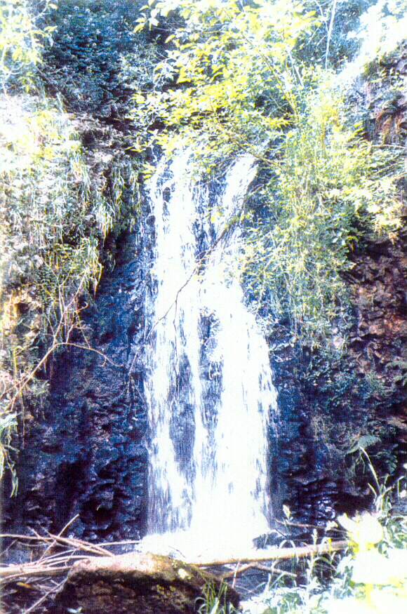 Image of Jackson Falls