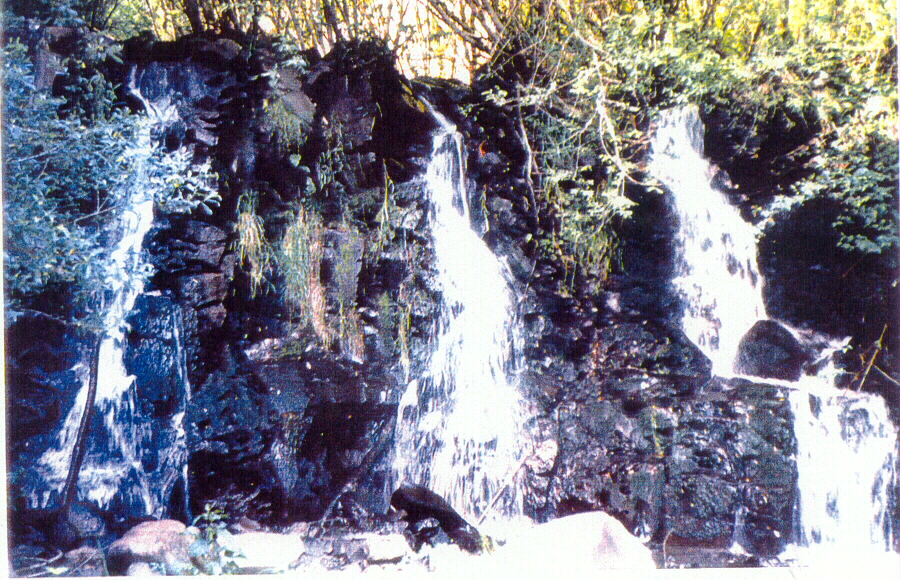 Image of Jackson Falls