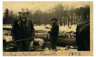 Image of logging in Potter Co., PA